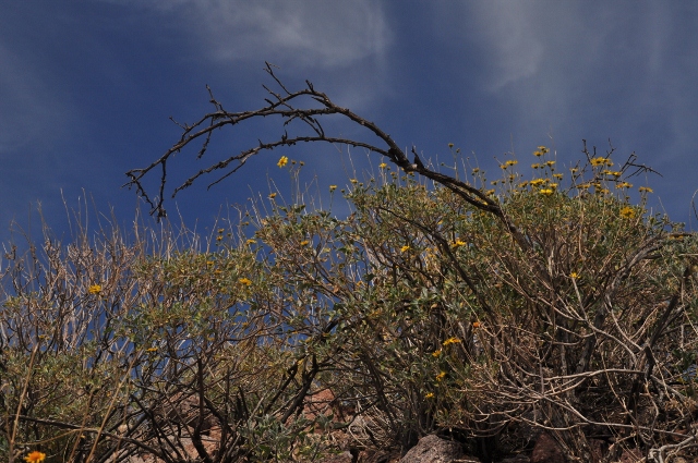 the Treasure Loop Trail